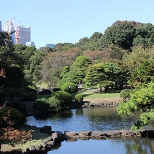 Wisata Taman di Shinjuku Gyoen National Garden, Jepang