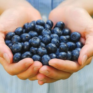 8 Manfaat Blueberry bagi Kesehatan, Salah Satunya Awet Muda!