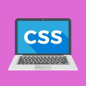 Buat Tampilan Website Kamu Menarik Dengan CSS