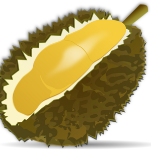 Kesehatan Tubuh Bisa Ditingkatkan dengan Rutin Makan Buah Durian Segar 