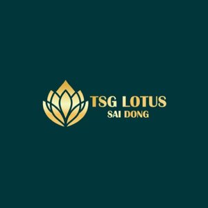 TSG Lotus SÃ i Äá»“ng