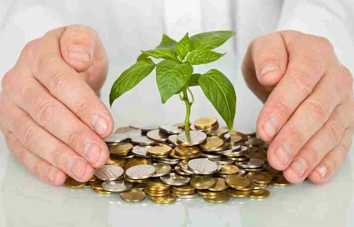 Berbagai Cara Investasi Reksadana Termudah Dan Terbaik