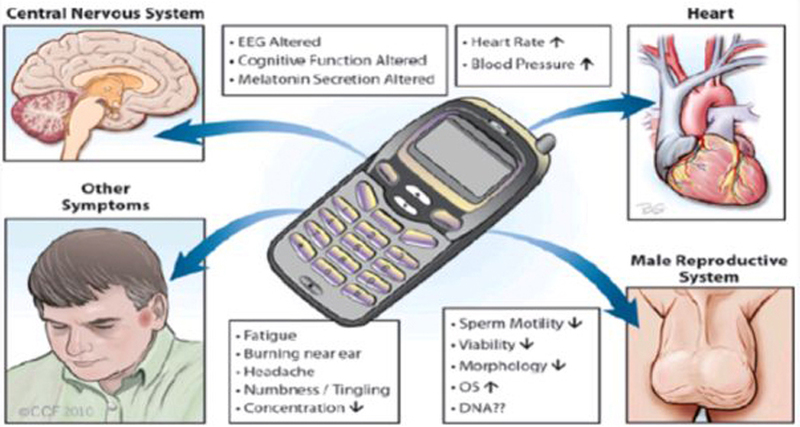 Protect Your Health From a Cell Phone Radiation