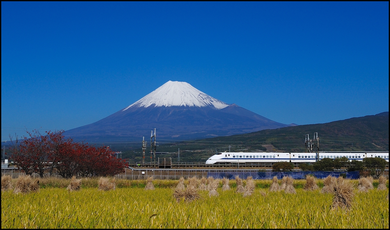 Shinkansen melintas di depan Fuji-san