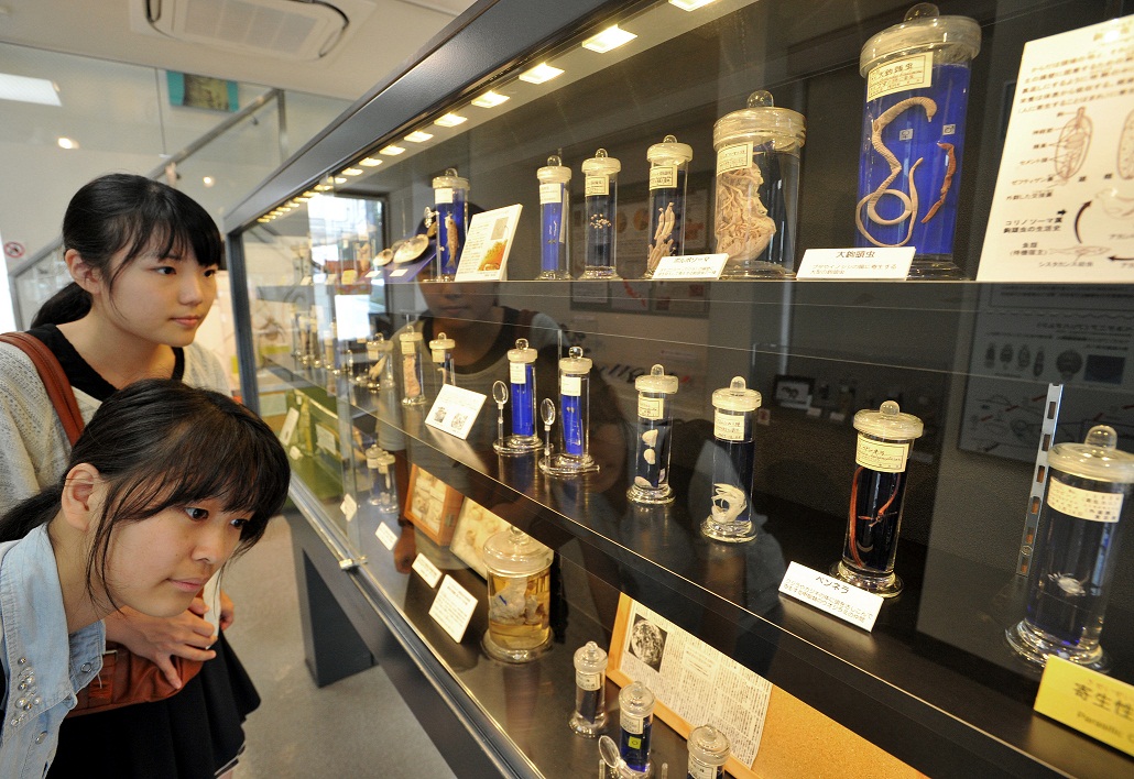 Beberapa Museum Unik di Jepang yang Wajib Dikunjungi