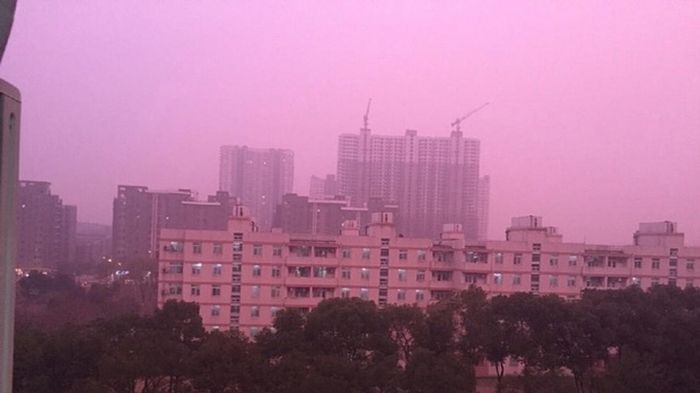 Heboh! Langit Berwarna Pink Jadi Trending Topik