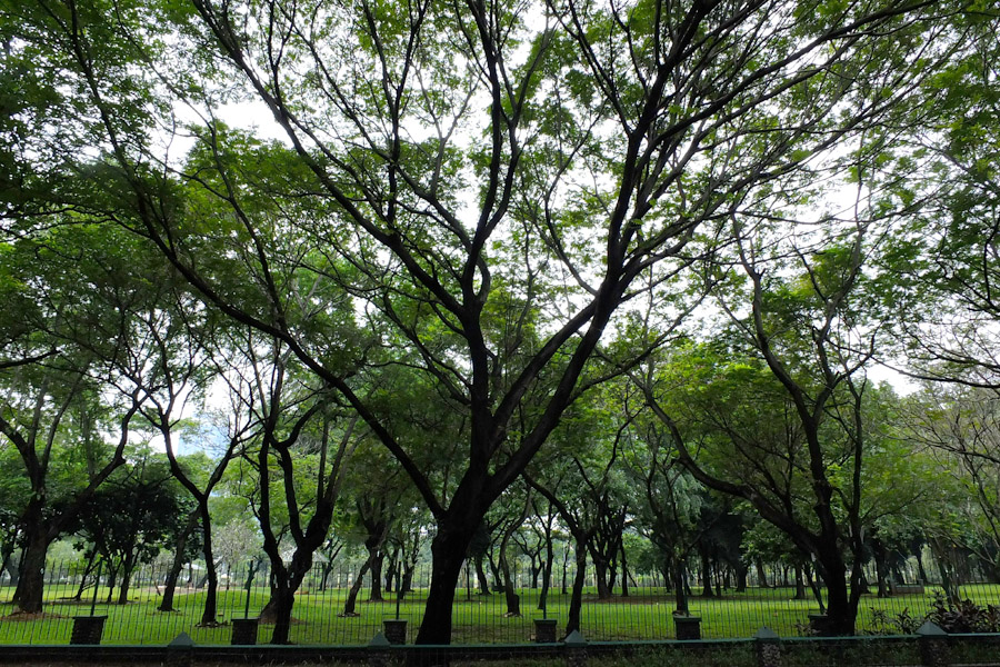 Perbandingan Taman-Taman yang Menghiasi Jakarta dan Bandung