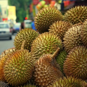 2 Tips Asyik Memilih Buah Durian yang Bagus