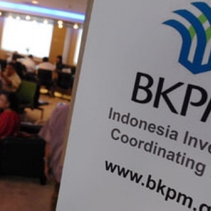 BKPM Siap Realisasikan Investasi Pembangkit Listrik