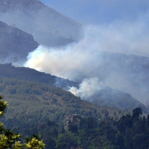 Cuaca Panas Yang Begitu Menyengat Hingga Membuat Hutan Terbakar