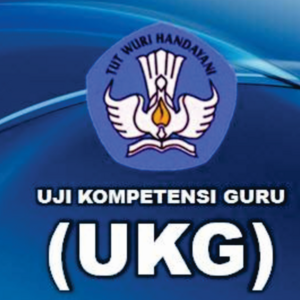 Inilah Tindak Lanjut Dari UKG 2015