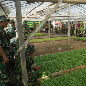 Kembangkan Cabai Massal Cegah Tradisi Naik Turun Harga