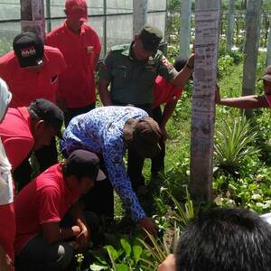 Temu Tani Cegah Tangkal Hama Perusak Tanaman