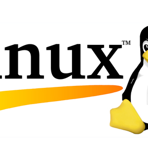 Macam-Macam Distro Linux Yang Jarang Diketahui