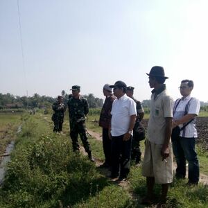 Pantau Persiapan Tanam Serentak Di Masa Lebaran