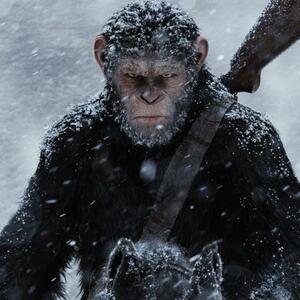 War for the Planet of the Apes memuncaki Box Office Amerika! Spider-Man:Homecoming Sepertinya Harus Rela Tergeser dari Peringkat Pertama, dan Inilah Top 10 Box Office 14-16 Juli 2017
