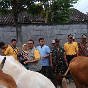 Apel Ternak Sapi Dan Penyerahan Bantuan Alsintan Di Kediri