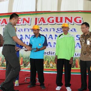 Penerapan Penanganan Pasca Panen GHP Pada Panen Jagung