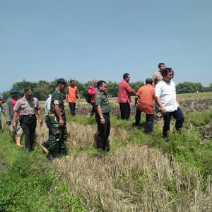 Kejar Target Luas Tambah Tanam Pada Temu Sapa Dengan Poktan