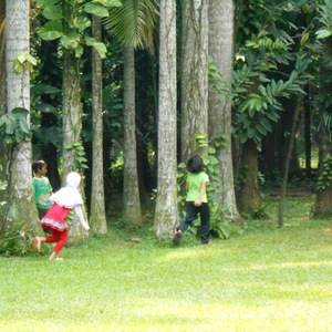 Hutan Kota, Pengobat Rindu Suasana Hijau