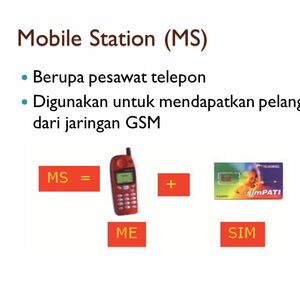 Mobile Station (MS)