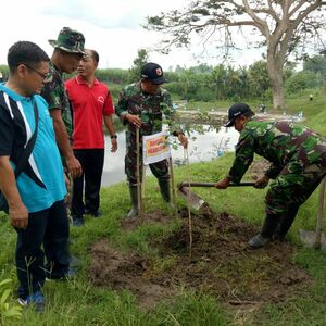 Hijaukan Alam Lewat Gerakan Penghijauan Gabungan