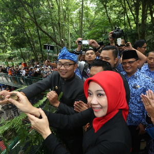 Kota Bandung Kini Miliki Forest Walk Terpanjang Se-Asia Tenggara