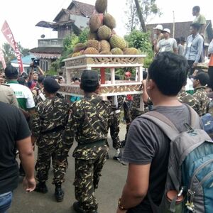 Semarak Festival Dhahar Durian Tarik Minat Wisatawan