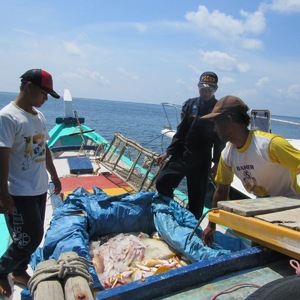  Pemberantasan IUU Fishing dalam paradigma kekinian
