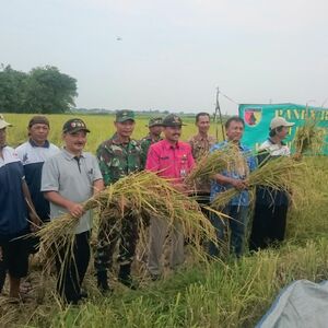 Geliat produksi gabah dan beras pada panen raya di Badas Kediri