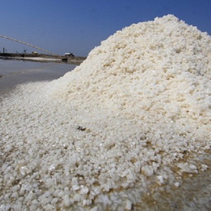 Bijak Menyikapi Kasus Impor Garam di Indonesia