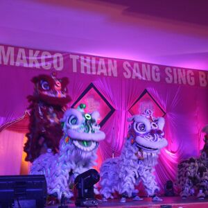 HUT Y.M. Makco Thian Sang Sing Boo Dimeriahkan Barongsai Dan Liang Liong