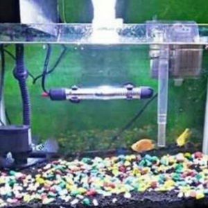 Apa Pentingnya Mesin Filter Aquarium Untuk Ikan Hias?