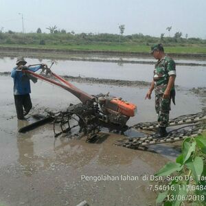 Babinsa Koramil Ngoro Dampingi Petani Pengolahan Lahan