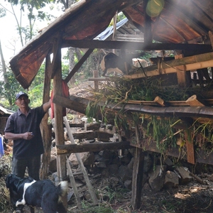 Kambing Menjadi Komoditas Andalan Desa Jembul, Lokasi TMMD Ke-102 Mojokerto