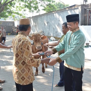 Hari Raya Idul Adha, Kodim 0815 Mojokerto Bagikan Daging Qurban