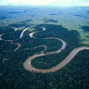 Misteri dan Penghuni Sungai Amazon!!