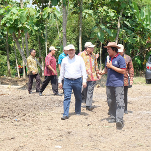 Anggota DPR RI Komisi XI Donny Imam Priambodo Paparkan Fungsi Pepohonan di Hari Pohon Sedunia