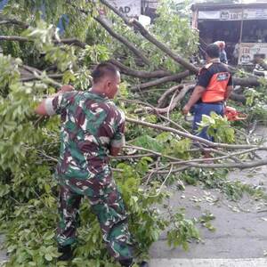 Bersama TRC BPBD, Relawan &amp; Warga Babinsa Evakuasi Pohon Tumbang