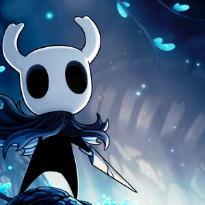 Hollow Knight