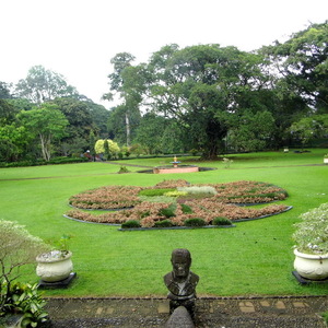 menjelajahi kota hujan (Kebun Raya Bogor)