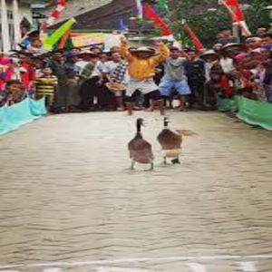 Bebek Betisan dari Dusun Betisan, Kecamatan Jumo,Temanggung, Jawa Tengah