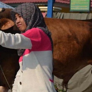 &quot;Top-up&quot; Pahala Idul Adha dengan Reksa Dana Syariah