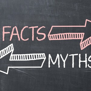 Mitos dan Fakta tentang SEO yang Perlu Anda Ketahui
