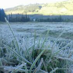 Melihat Fenomena Embun Upas di Dieng