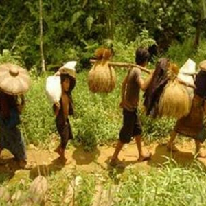 Ini DIa Potret dari Sistem Pertanian Suku Baduy