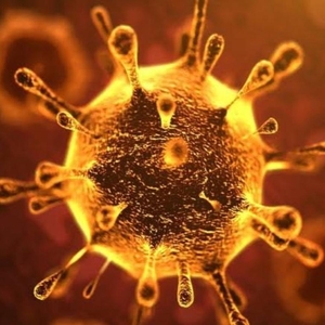 Virus Corona yang Menyebar ke Berbagai Belahan Dunia