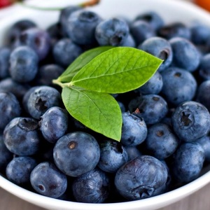 9 Manfaat dari Rajin Mengkonsumsi Buah Blueberry untuk Kesehatan Tubuh