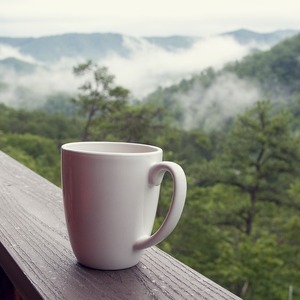 Kopi Gunung Wilis Paling Kesohor Di Nusantara Hingga Eropa dengan Cita Rasa Tajam 