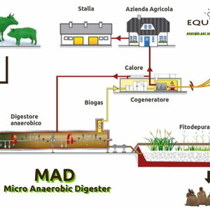 Bagaimana Cara Mengolah Limbah Kotoran Ternak Menjadi Biogas 